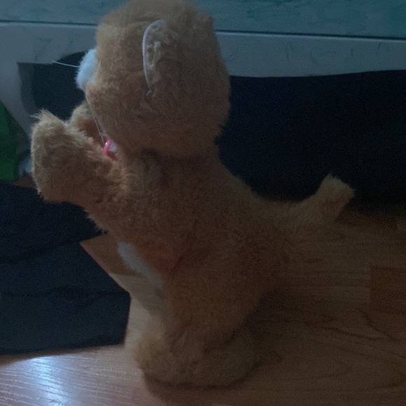 Furreal friend,it’s a cat ,the cats orange and it always meows and moves paws. - Picture 2 of 4